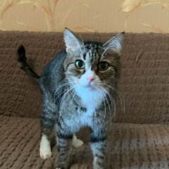 Николай Андреев, Волгоград