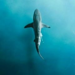 Евгений Иваненчук, 14.07.1987