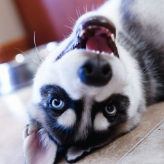 Андрей Румянцев, 26.11, Москва