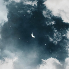 Камиль Адамов, 24.11.1992, Каспийск