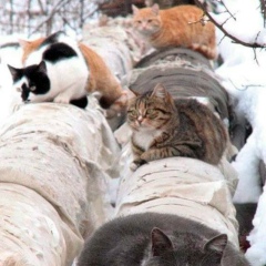 Юра Медведев, 13.03, Abu Dhabi