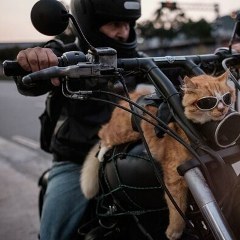 Михаил Сидоров, 02.12.1986, Железногорск