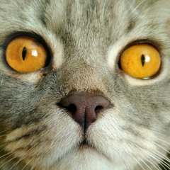 Галина Панина, 19.12, Химки