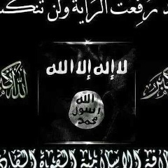محمود المصري, 08.06.1989