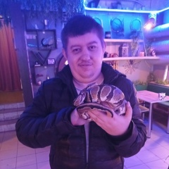 Дмитрий Головченко, Волгоград