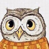 Сергей Ти, 02.06.1987, Алматы