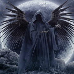 Би Хан, Новосибирск