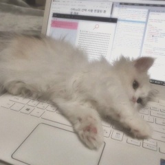 Кирюша Богов, Detroit