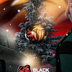 Zaw Min, Зеленоград