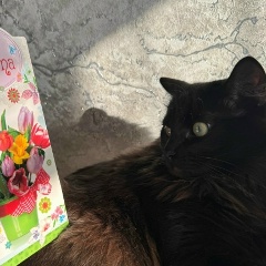 Елена Петрова, 12.01.1989, Балашиха