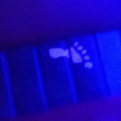 Владимир Лебедев, 11.01.1986, Санкт-Петербург