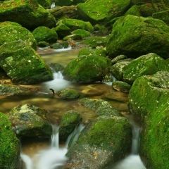 Дария Бисемби, 20.07.1992, Актобе