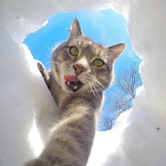 Искандер Камалов, 27.06.1997, Жаркент