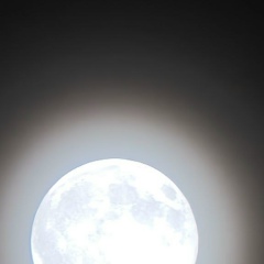 Никита Старков, 24.06.2005, Москва