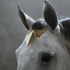 Надежда Секрет, 20.03.1908