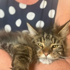 Света Панкова, 08.05, Санкт-Петербург