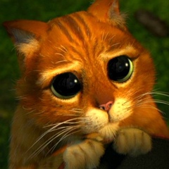 Михаил Рыбак, 10.05, Минск