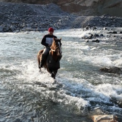 Алмаз Алтынбеков, 14.10, Москва