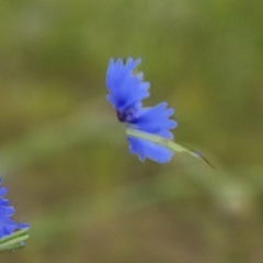 Светлана Кулешова, 22.12