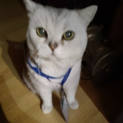 Иван Космынин, 06.06, Москва