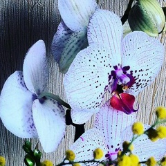 Наташа Ражева, 03.05.1996, Екатеринбург