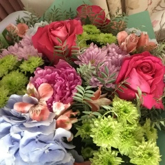 Ирана Ядари, 08.08, Шымкент