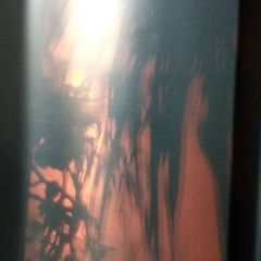 Алексей Осипов, 10.11, Донецк