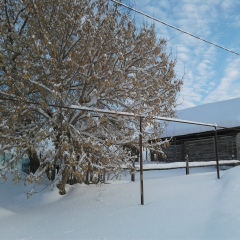 Ренат Саримов, Казань