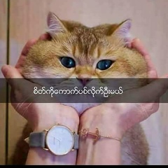 Maung Kaba, 27.01.1999