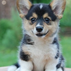 Алена Лазарева, 14.05.1983, Киев