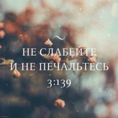 Sarkhan Yakupov, Алматы