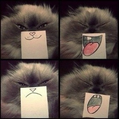 Alexey Alexeevich, 29.10