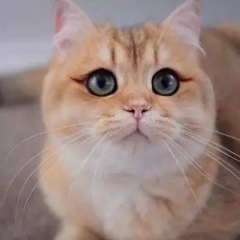 Мария , 12.12, Мытищи