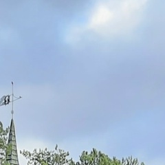 Марина Александровна, 29.08, Кириши