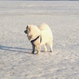 Егор Шичкин, 08.02.1994, Новосибирск