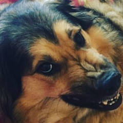 Елена Рычкова, 02.07.1964, Санкт-Петербург