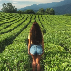 Светлана Кудряшова, Санкт-Петербург