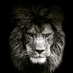 Магомед Магомедов, 05.04, Москва