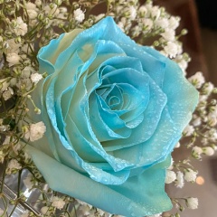 Луиза Хачиян, 29.10, Москва