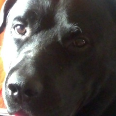 Ольга , 29.05.1985, Санкт-Петербург