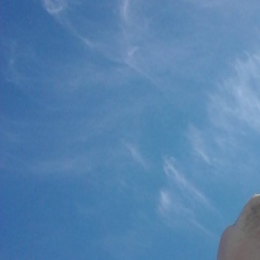 Виктор Борматов, 26.06, New York City