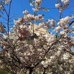 Юлия Зубарева, 27.07, Санкт-Петербург