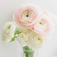 Дарья Снесарева, 25.12.1984, Екатеринбург