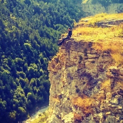 Зелим Chermo, 08.01.1988, Москва