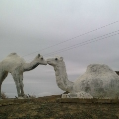 Gulbakit Uteshova, 26.07.1984