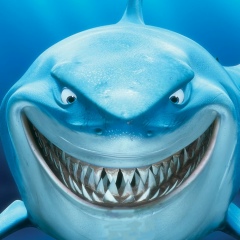 Дмитрий Панченко, 12.10.1981, Санкт-Петербург