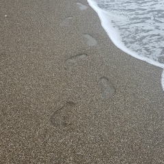 Исрапил Исрапилов, 01.01, Грозный