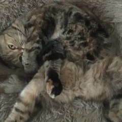 Наталья Щербакова, 22.10