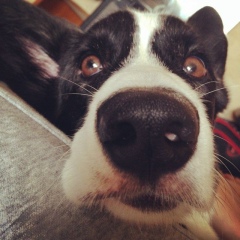 Сергей Воробьев, 18.04, Москва