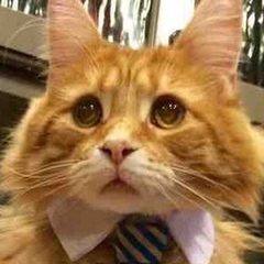 Александр Переляйнен, 01.01.1991, Таганрог